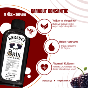 BRİX KONSANTRE KARADUT SUYU 140 ML x 20 adet
