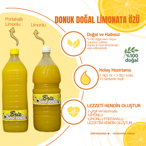BRİX PREMİUM DONUK DOĞAL LİMONATA ÖZÜ 2L